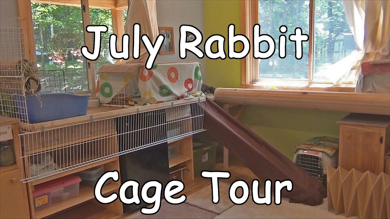 July Rabbit Cage Tour