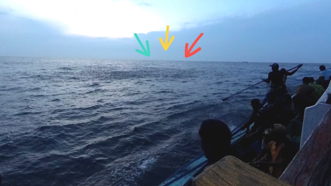 Rejeki nomplok ll Sekali lingkar jaring mendapatkan empat palka ikan tongkol  ll Nelayan puger