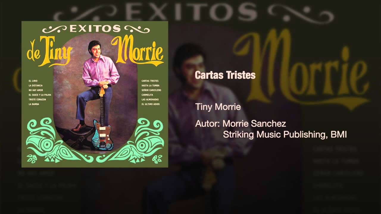 Tiny Morrie - 
