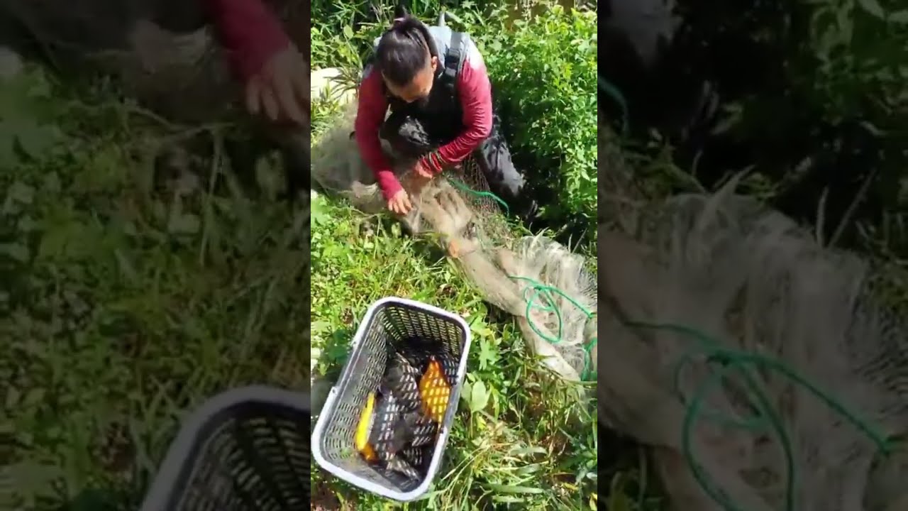 Unbelievable fishing catching . Amazing survival