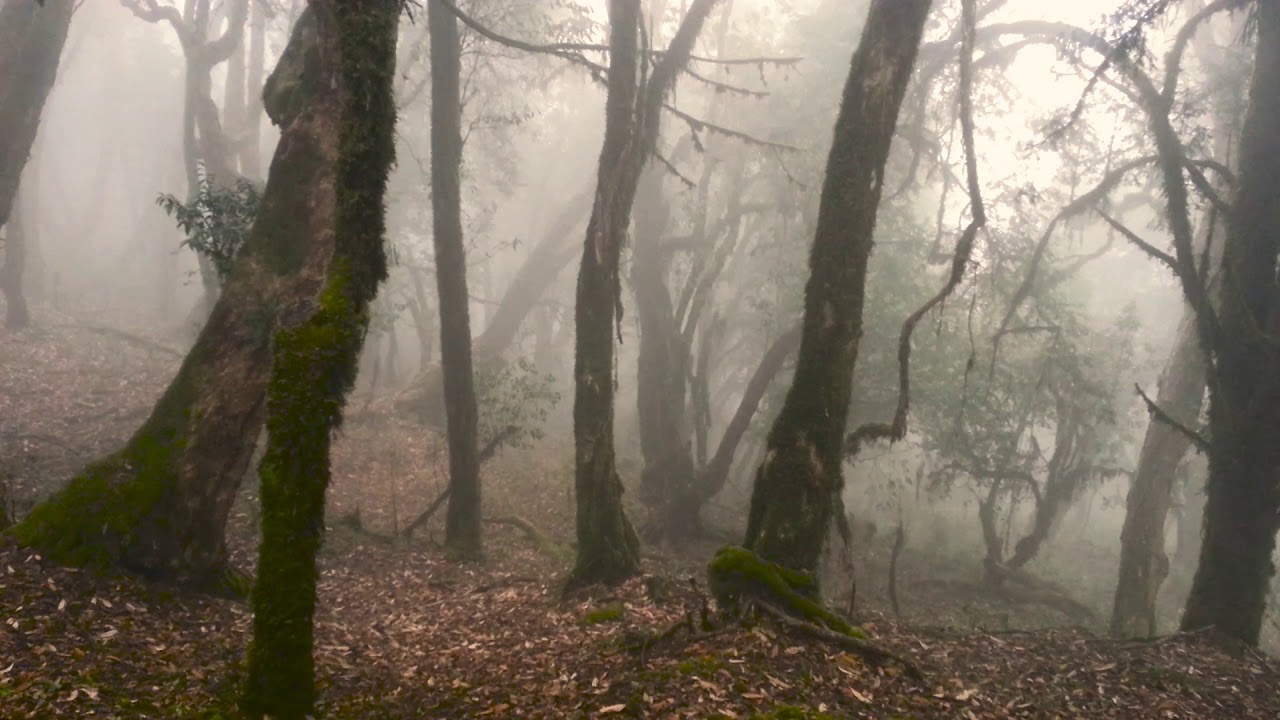HIMALAYAN SOUNDS FOR  MEDITATION , RELAXATION AND VIPASSANA MEDITATION.