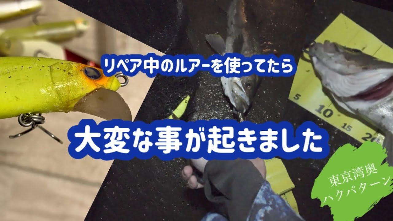 リペア中のルアーを使っていたら大変な事が起きました　シーバス ハクパターン　湾奥オカッパリ