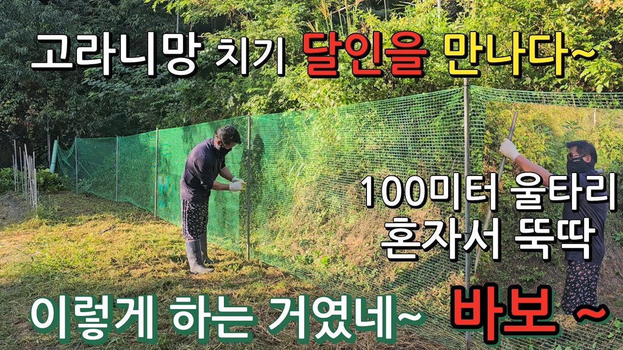 고라니망 치기  울타리 치기 이렇게 쉬울 줄이야 ㅡ