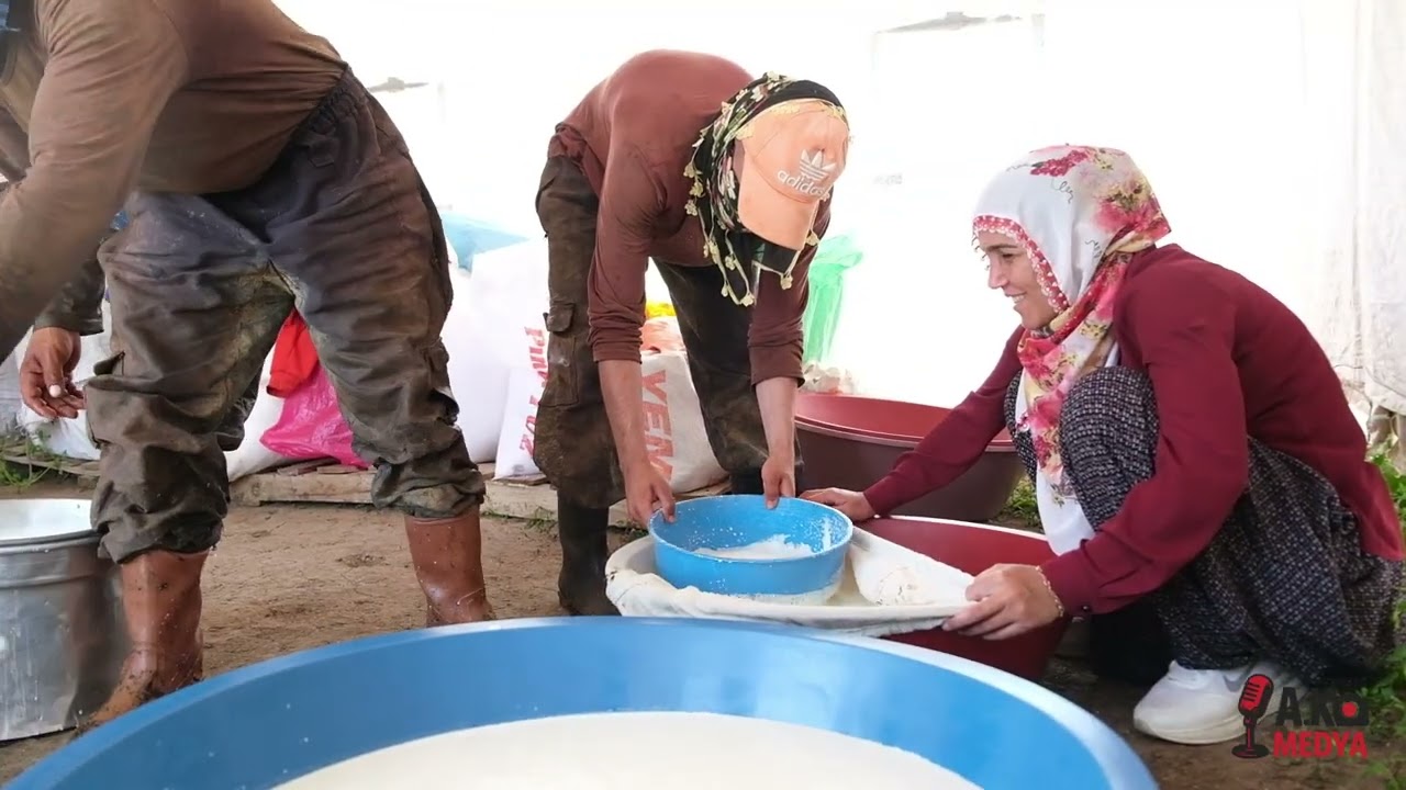 Şavaklıların Erzincan Tulum Peyniri Serüveni