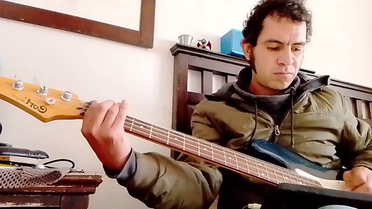 La pachanga - Vilma Palma e vampiros - bass cover