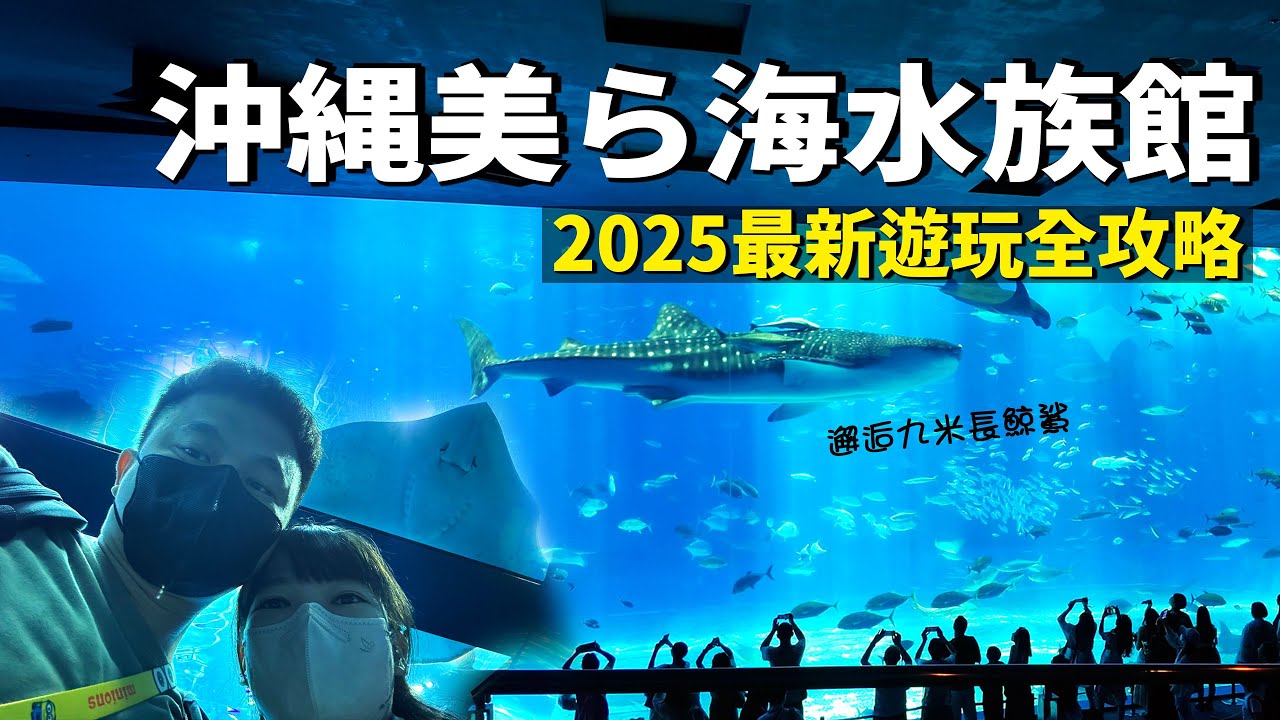 🐋 【沖繩】美ら海水族館｜2025最新遊玩交通全攻略｜邂逅九米長鯨鯊、巨型鬼蝠魟、免費海豚表演｜Y先生一家｜4K