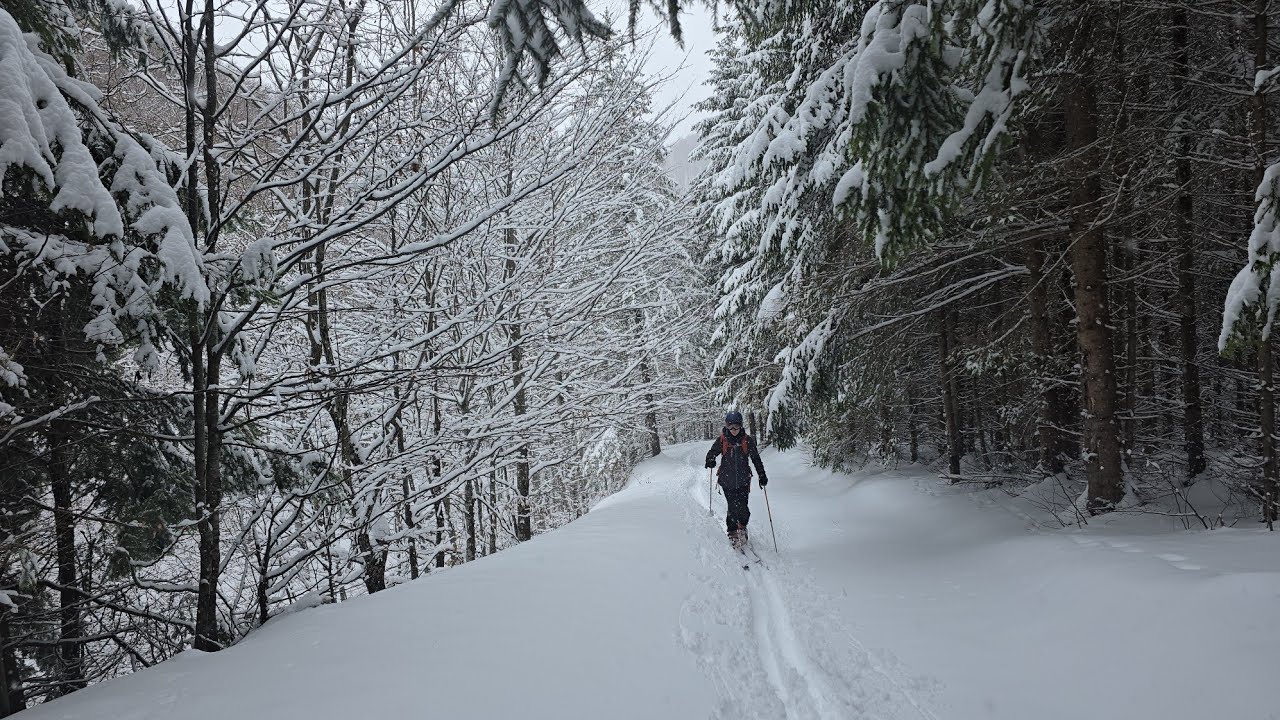 Baiului Freeride Ski 🙂