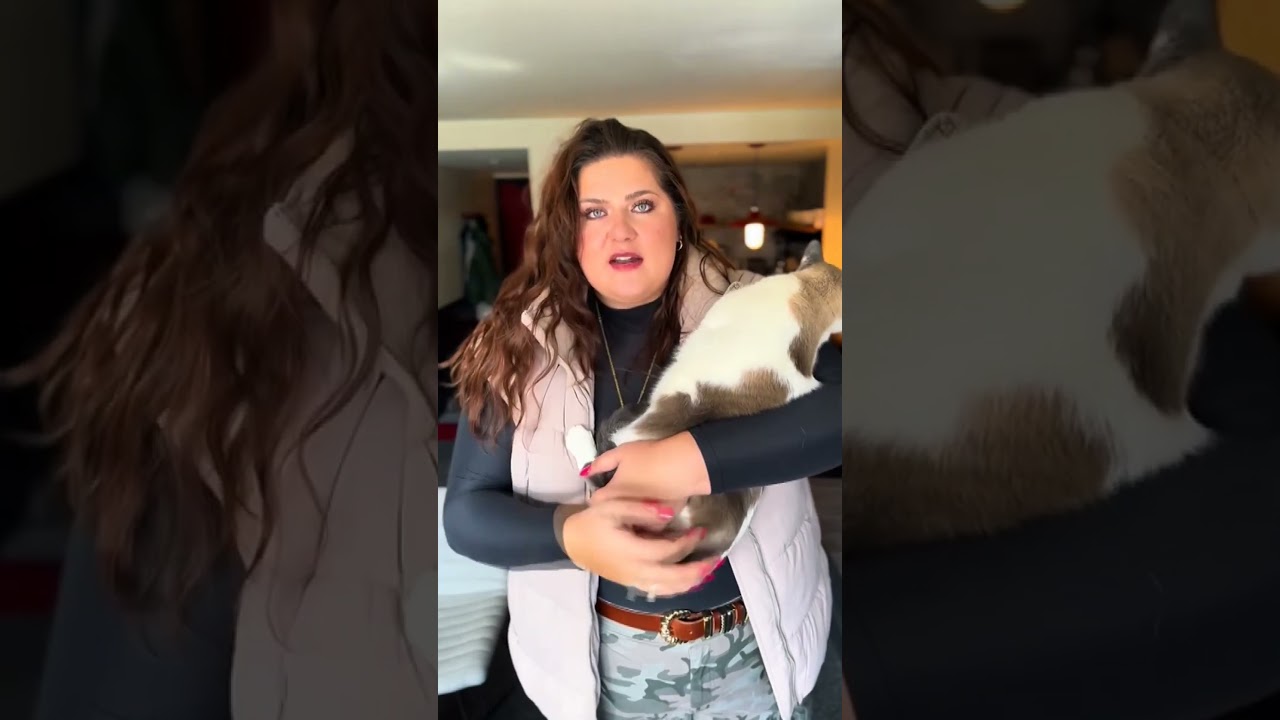 Influencer claims Delta flight attendant told her to quiet cat or leave plane