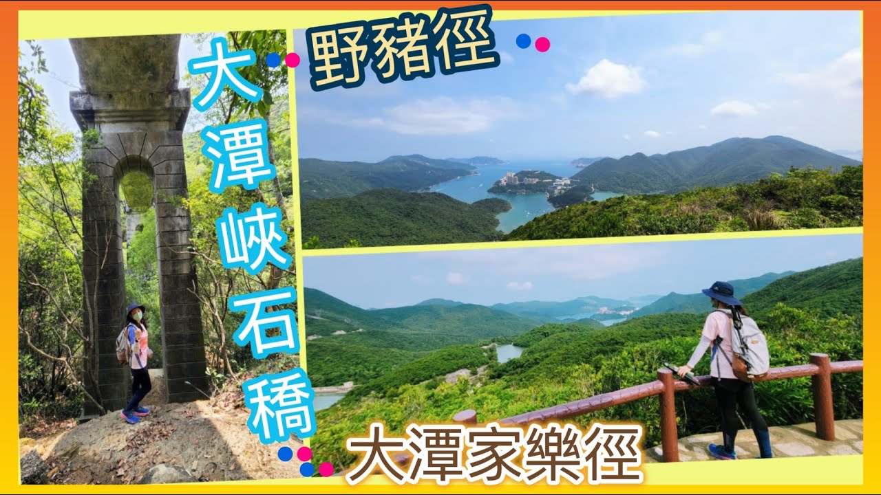 [輕鬆🪵得黎又有少少難度😛|多景點] 野豬徑🐗 I 猛鬼橋💀 l 大潭家樂徑🏝~參觀特色橋🏞外，更可從高空欣賞大潭水塘一帶景色