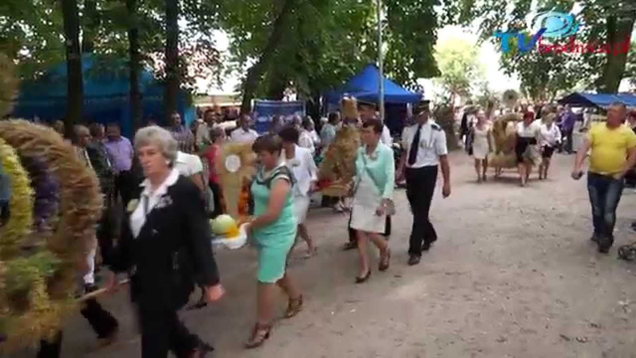 Dożynki Powiatowe - Świedziebnia 2014