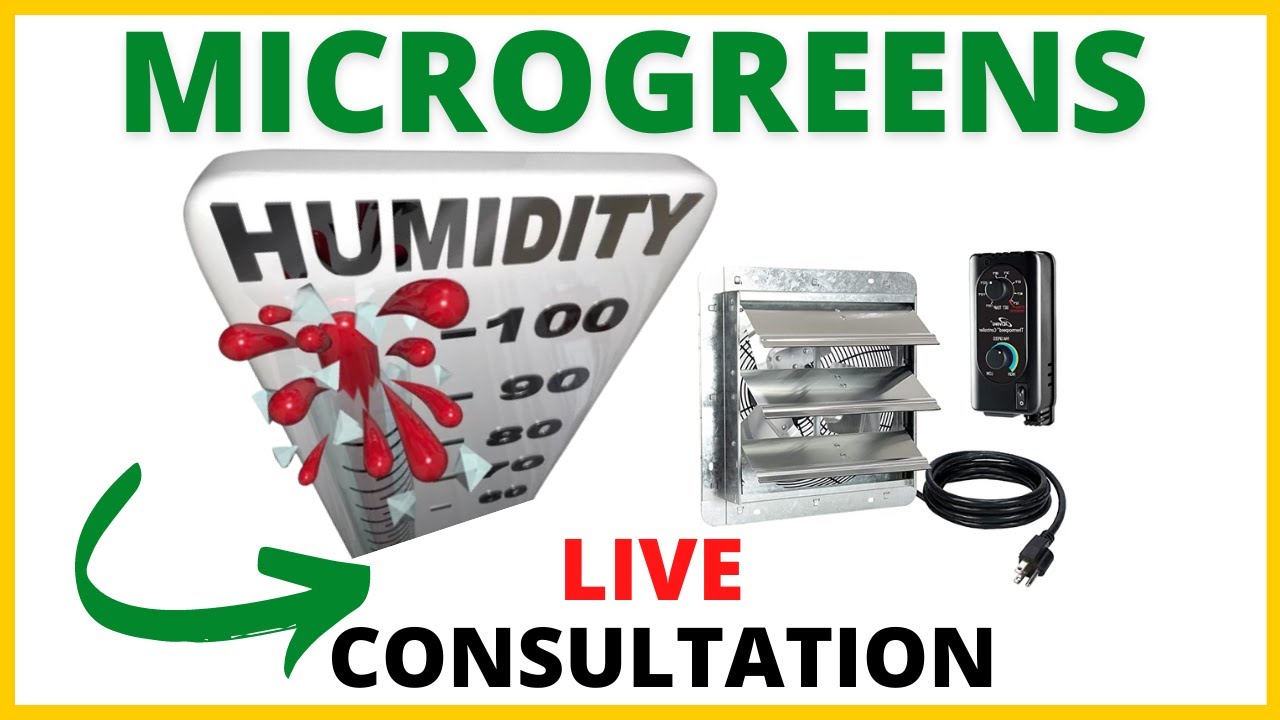 Microgreens Humidity & Temperature Control- Business Consultation