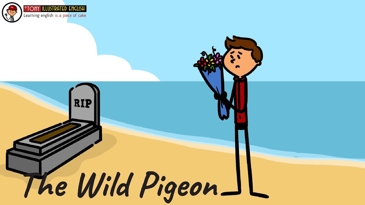 English Short Stories: The Wild Pigeon