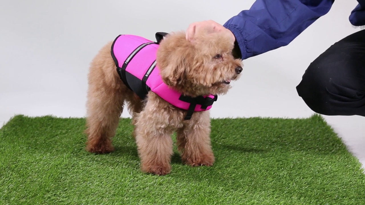 Hollypet Dog Life Jacket Dog Lifesaver Safety Reflective Vest Pet Life Preserver Pink
