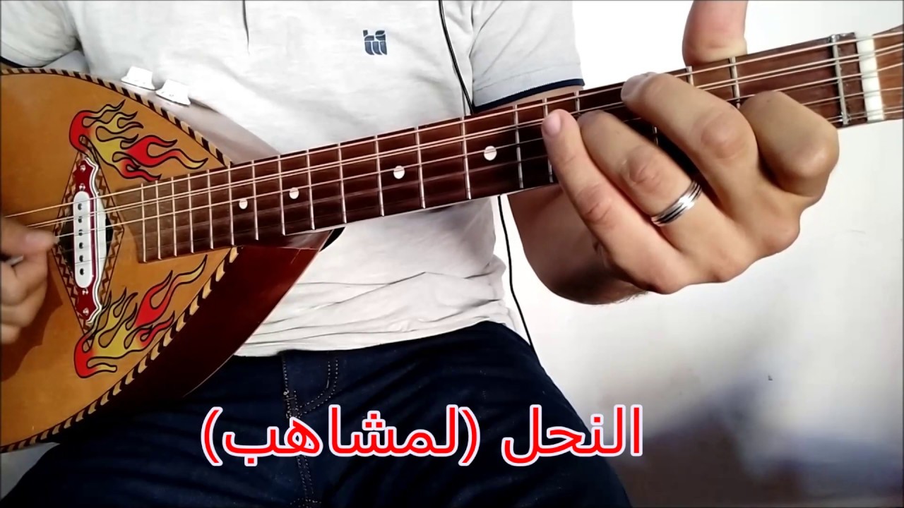 لمشاهب زن زن يا نحل / lemchaheb zan zan ya nhal