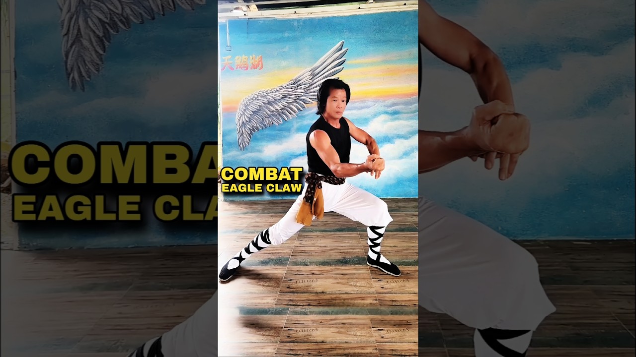 Eagle Claw Kung Fu⚡Real Combat Precision