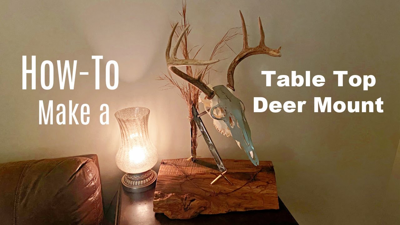 How To Make a Table Top Deer Mount