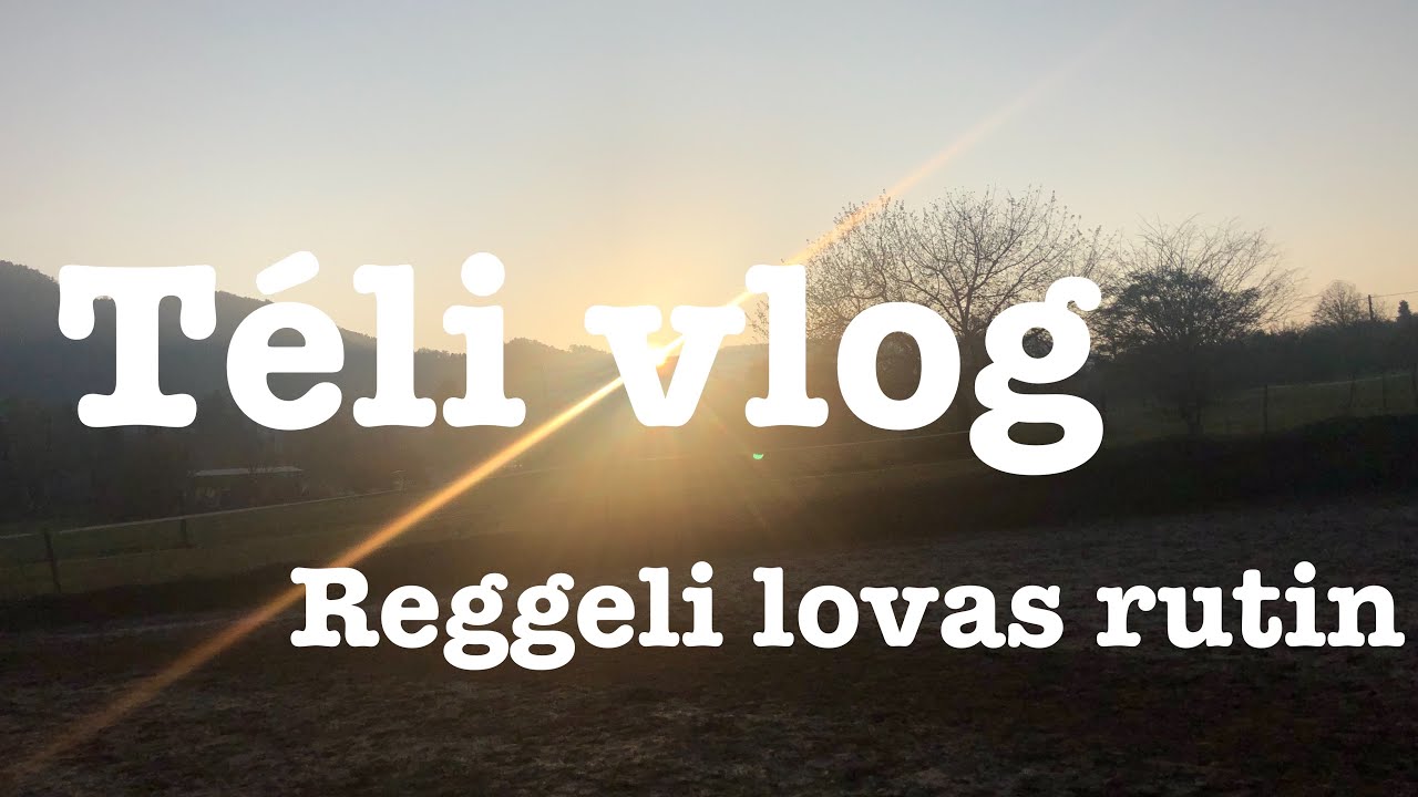 Reggeli lovas rutin || Vlog #3