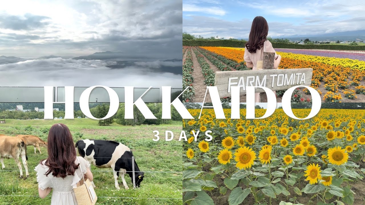〔北海道vlog〕2泊3日北海道旅行✈️｜トマム,富良野,美瑛,北竜町🐄🍼｜星野リゾートトマム雲海テラス☁️｜ひまわり畑🌻
