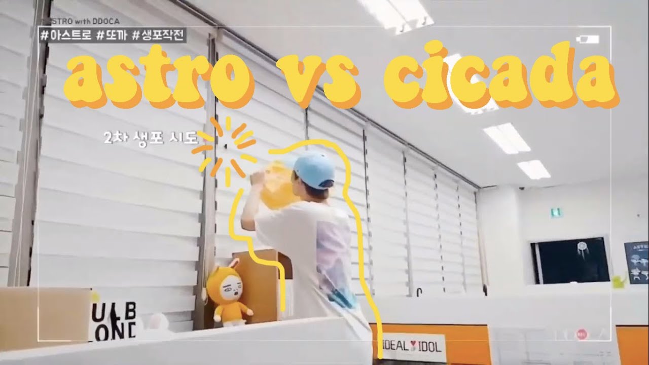 astro vs cicada