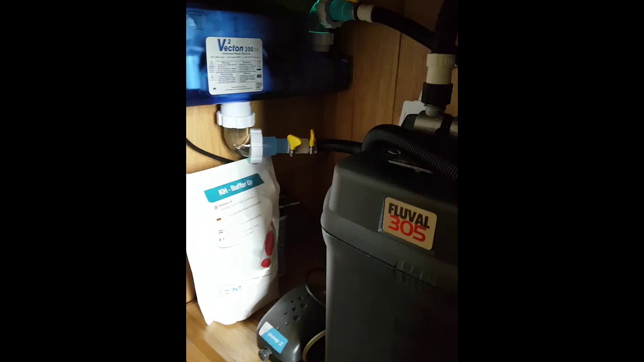Fluval 305 connected to a TMC vecton 300 uv steriliser.