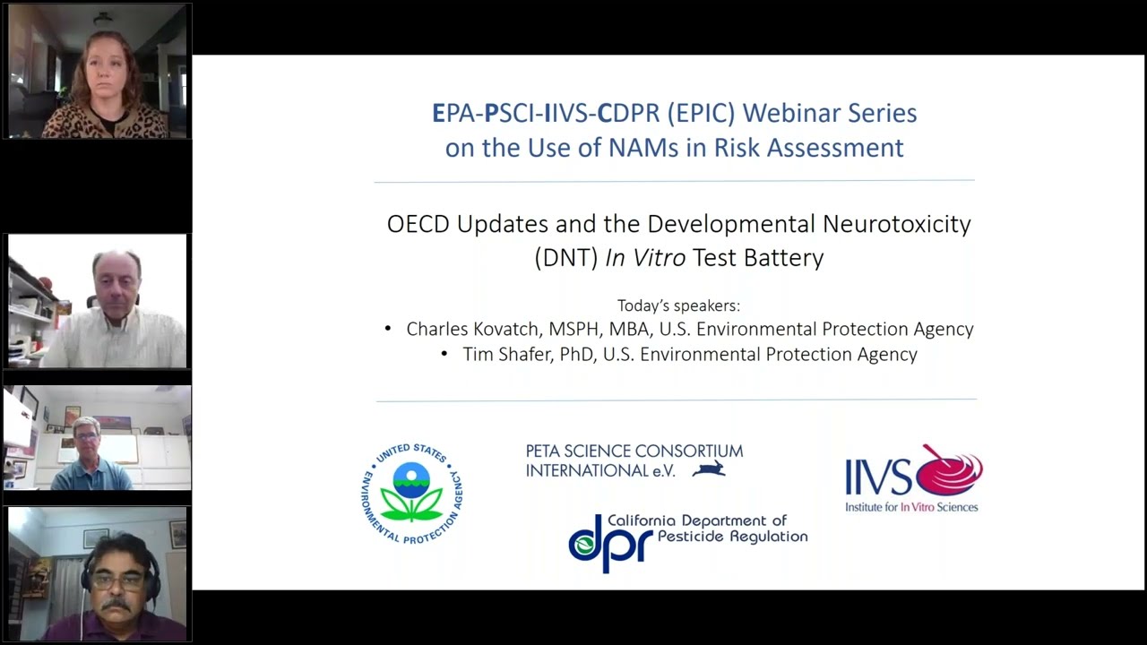 OECD Updates and the Developmental Neurotoxicity (DNT) In Vitro Test Battery