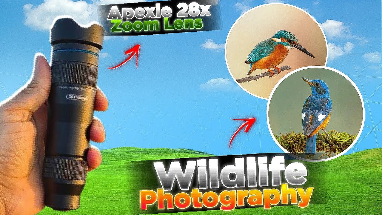 Wildlife Photography || Apexel 28x Zoom Lens Review & Unboxing || Apexel Telephoto Lens 