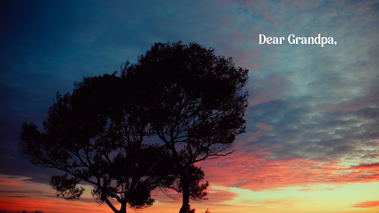 dear grandpa | short film (Sony ZV-E1)