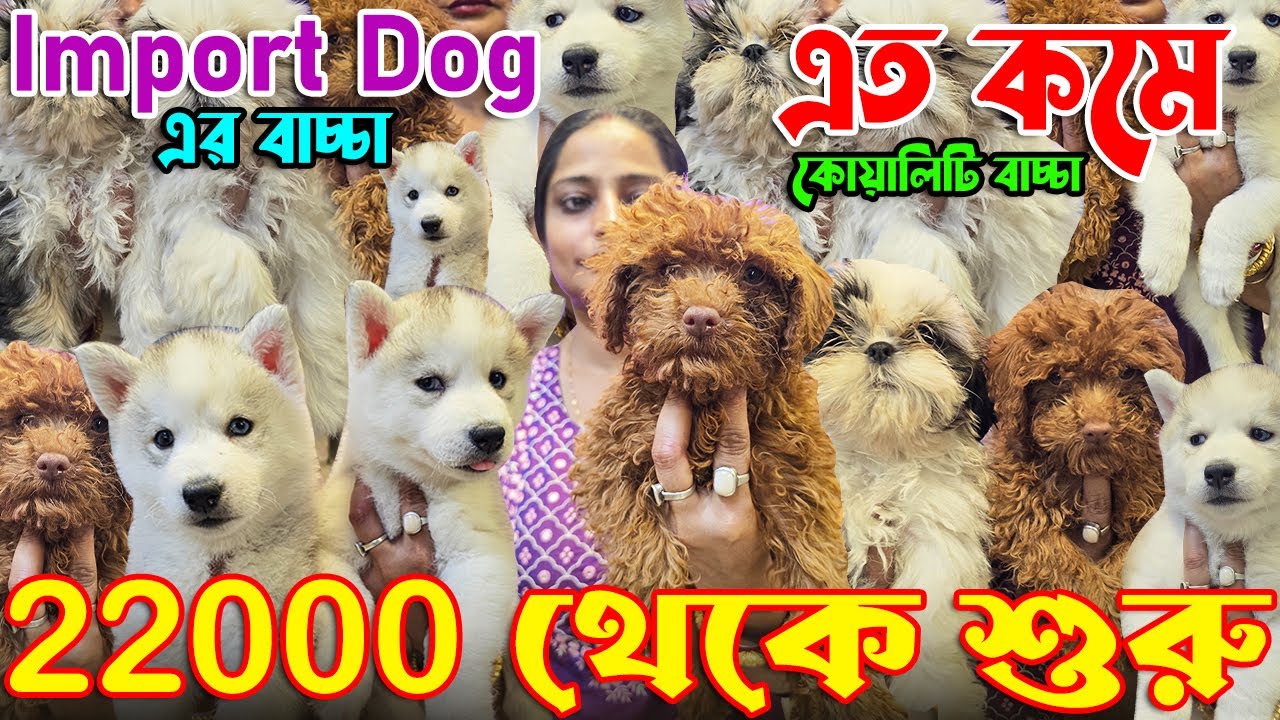 Biggest Dog Kennel in West Bengal । Import Quality Kci Registered । Dog Market in Kolkata