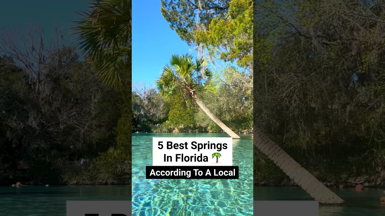 📍Best Springs In Florida! #floridatravel #floridasprings #hiddengems #florida #ginniesprings