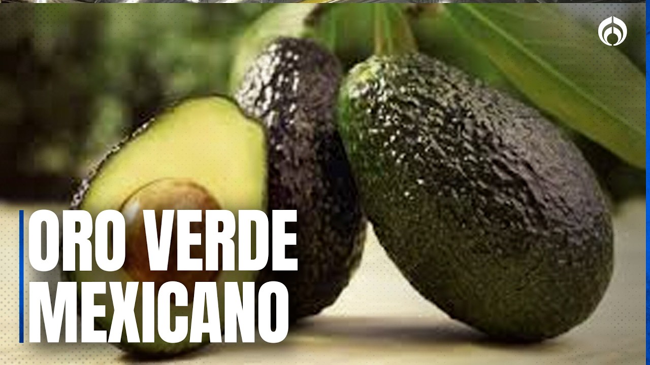 Aguacate, cerveza y tequila: los gigantes de exportación mexicana