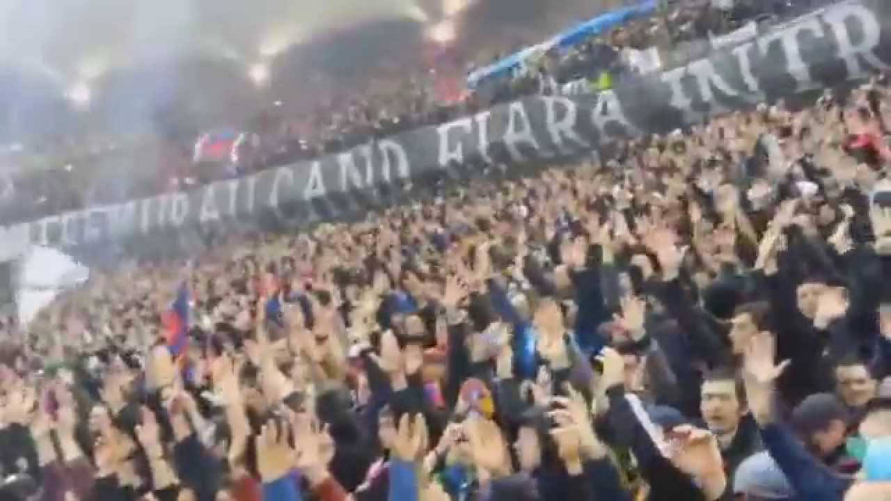Si cainii erau in gara - P.N & P.S