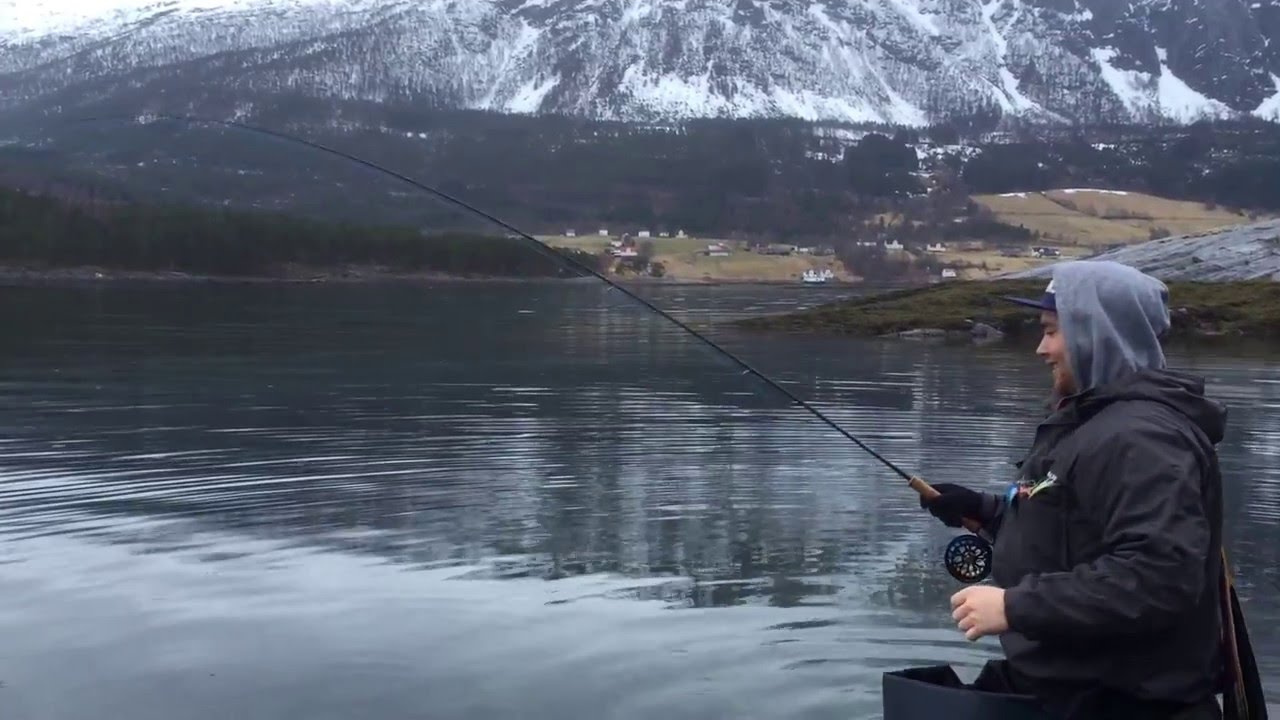 Sjøørretfiske i Nordfjord