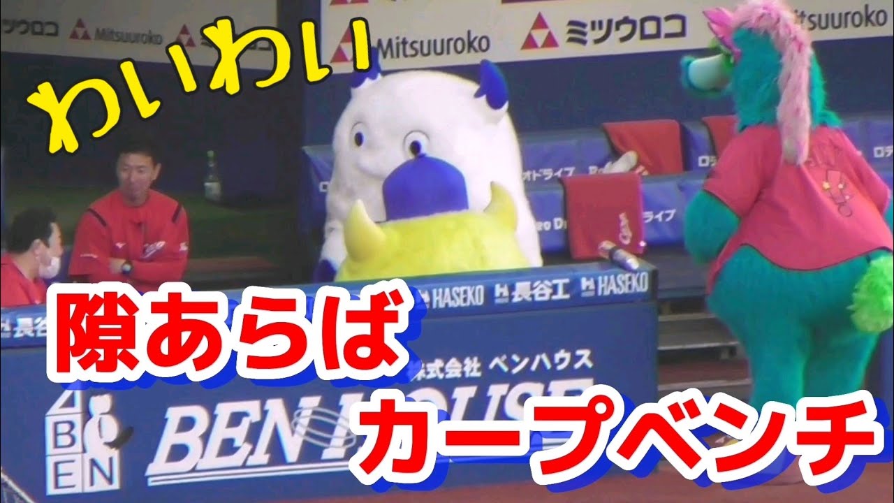 2023/5/17 バート&チャピーはカープベンチがお好き