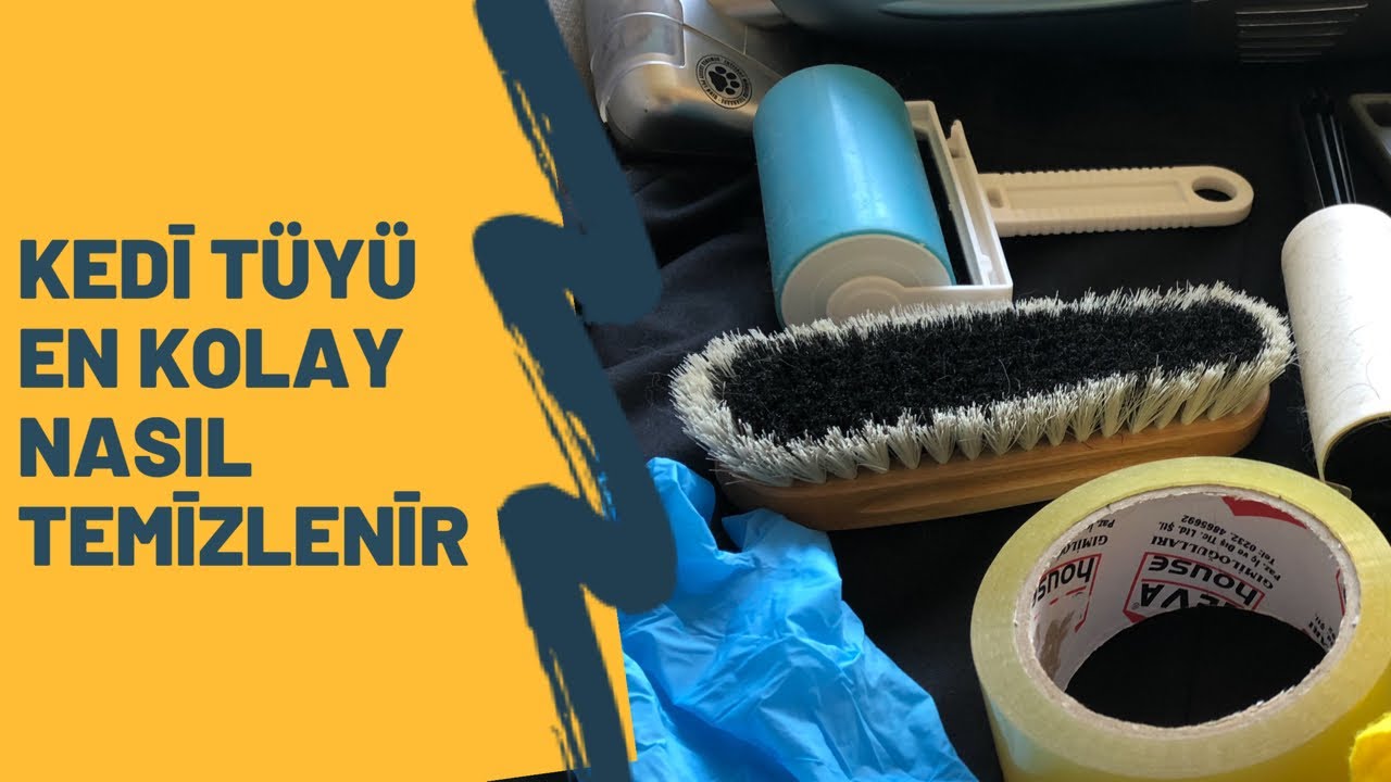Kıyafet ve mobilyalardaki kedi ve köpek tüylerinden kolayca hangi yöntemle kurtuluruz
