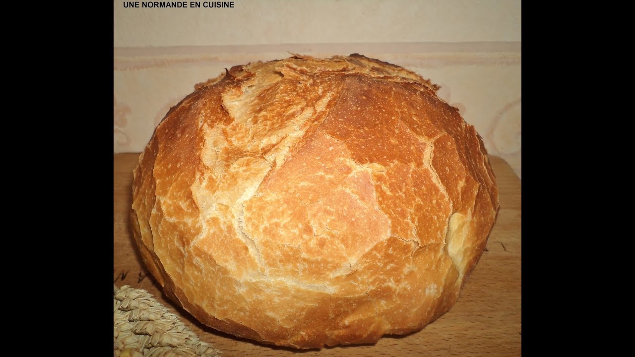 pain au levain/pane lievitato/pane con lievito naturale