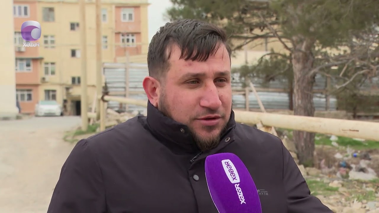 Lökbatanda ağaclar kəsilib