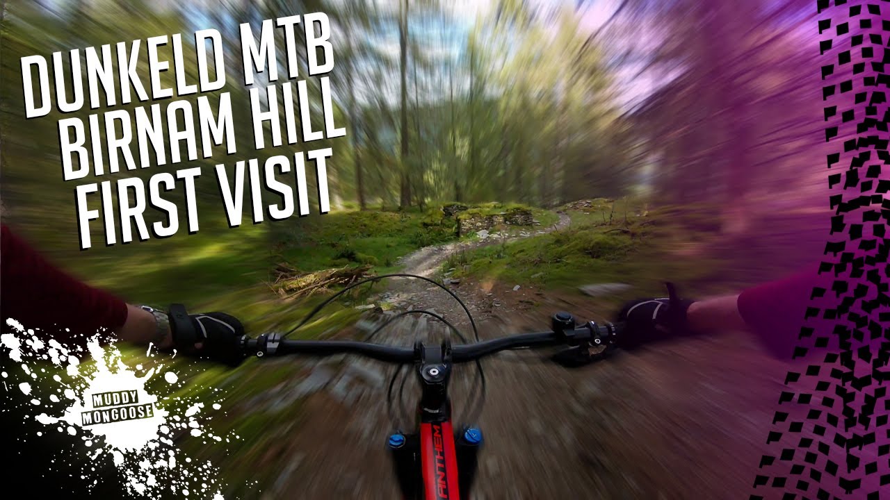 Dunkeld MTB   Birnam Hill MTB First Visit