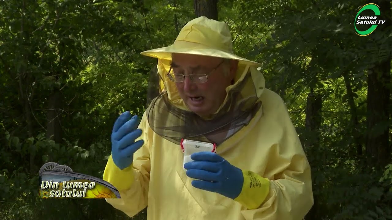 Cum se prepară formula de tratament care distruge Varroa Destructor