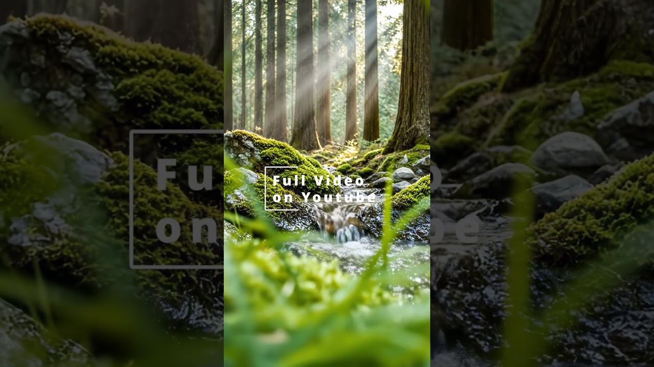Calm Forest Ambience 🌲 Slow Music, Gentle Wildlife & Mushrooms Growing | Deep Relaxation & Peace