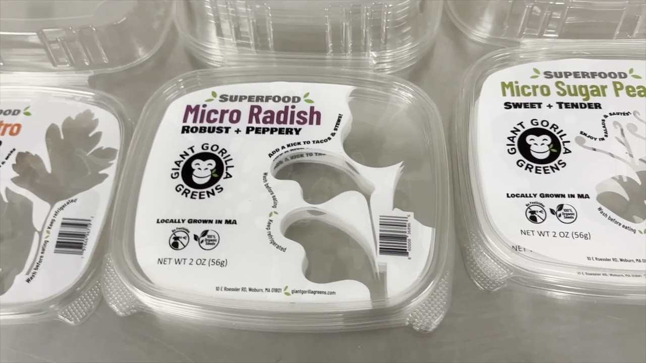 Visually Appealing Microgreens Labels For Grocery Stores