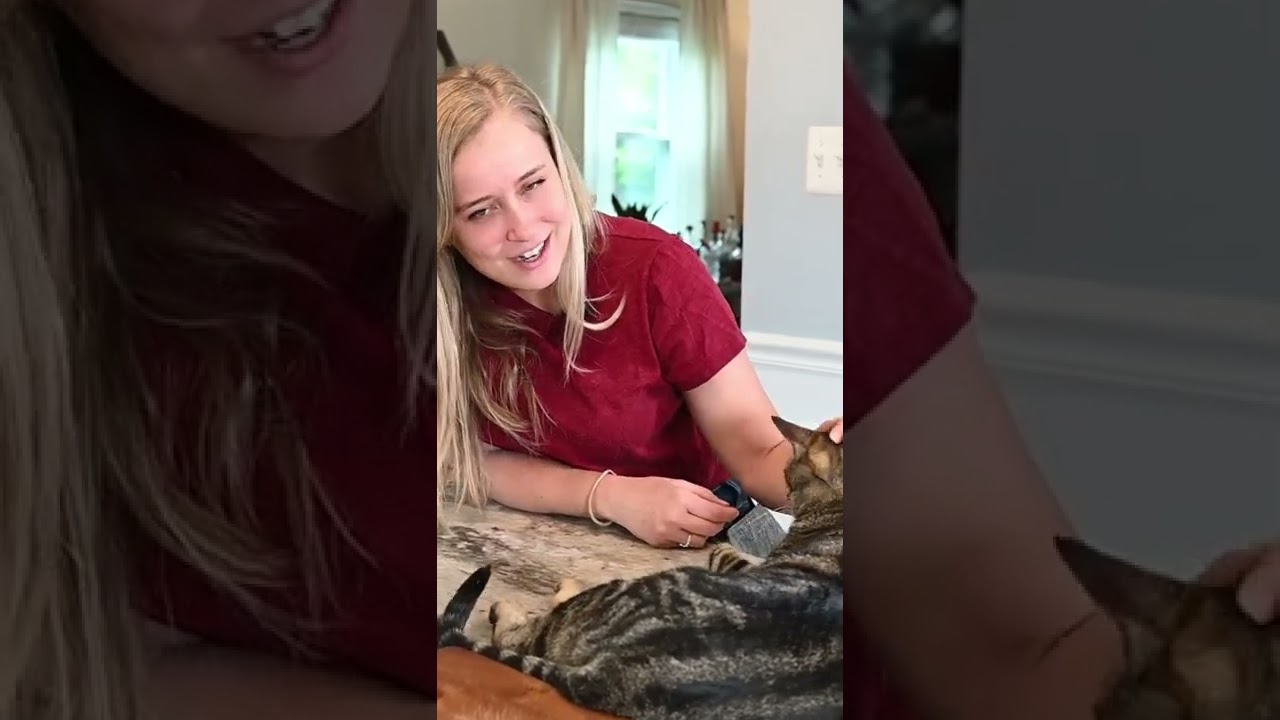What does a cat&rsquo;s SLOW blink mean? 😽
