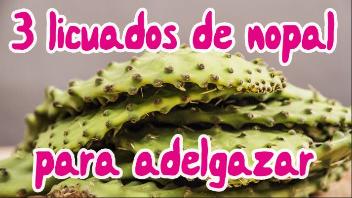 3 licuados de nopal: beneficios del jugo de nopal para adelgazar | APERDERPESO.COM