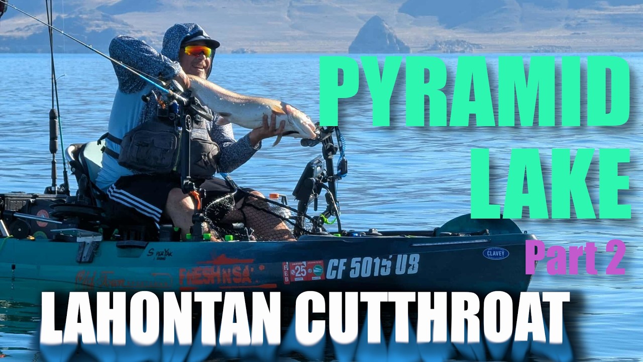 Pyramid Lake Lahontan Cutthroat Trout pt2