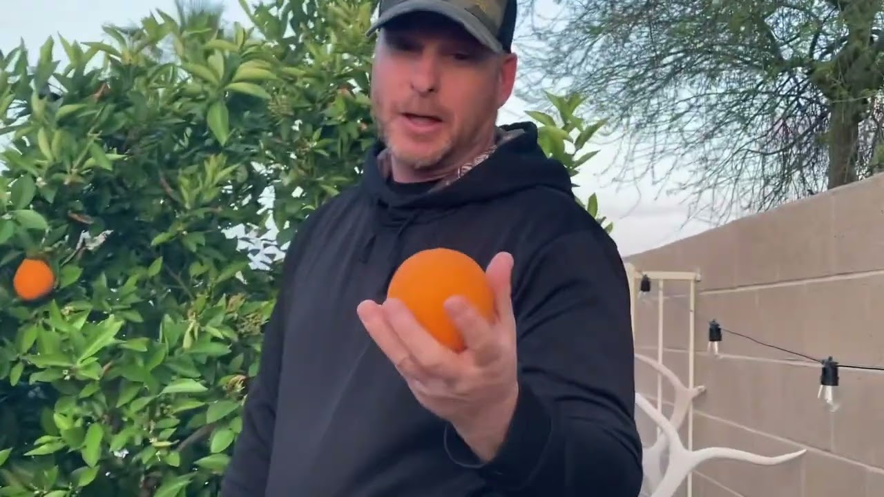 Valencia Orange Tree In the Desert