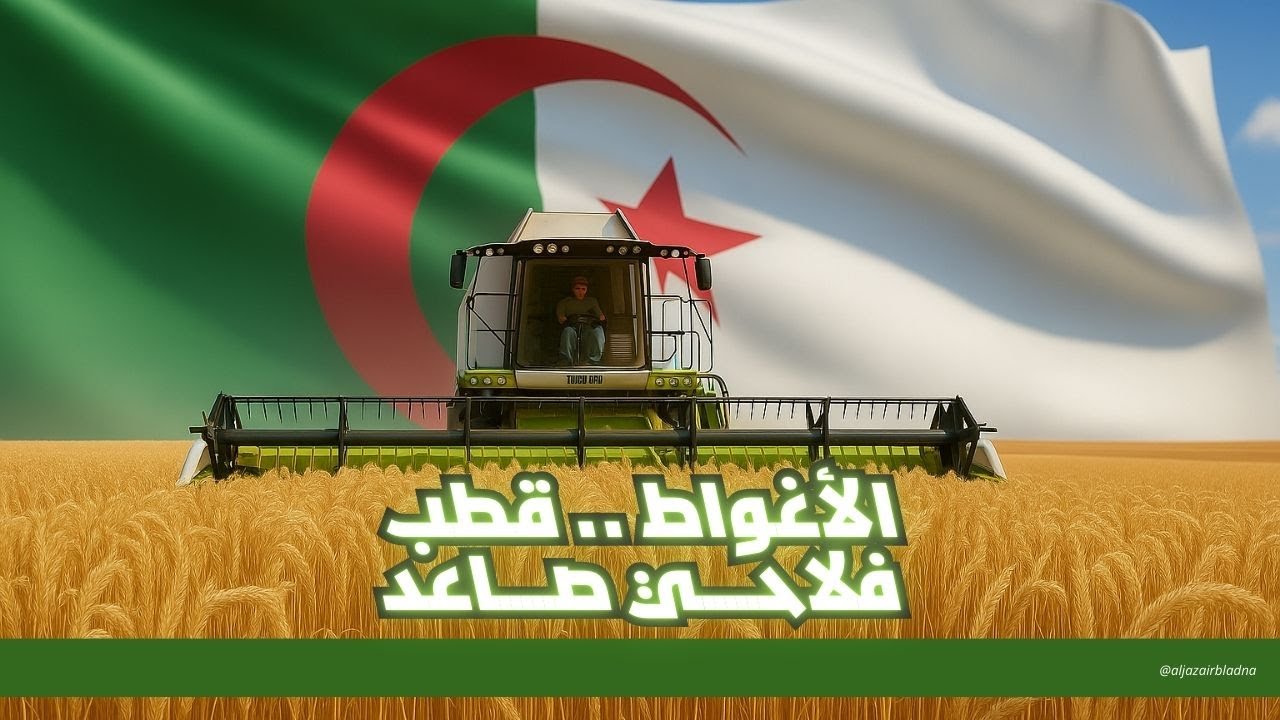 هكذا أصبحت الأغواط نموذجًا للفلاحة الصحراوية