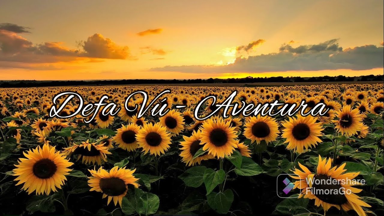 Defa Vú - Aventura (Karaoke)