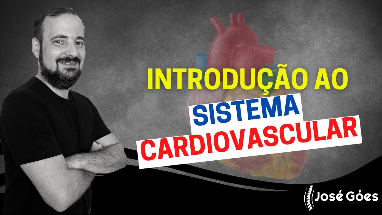 Introdução ao sistema cardiovascular | José Góes