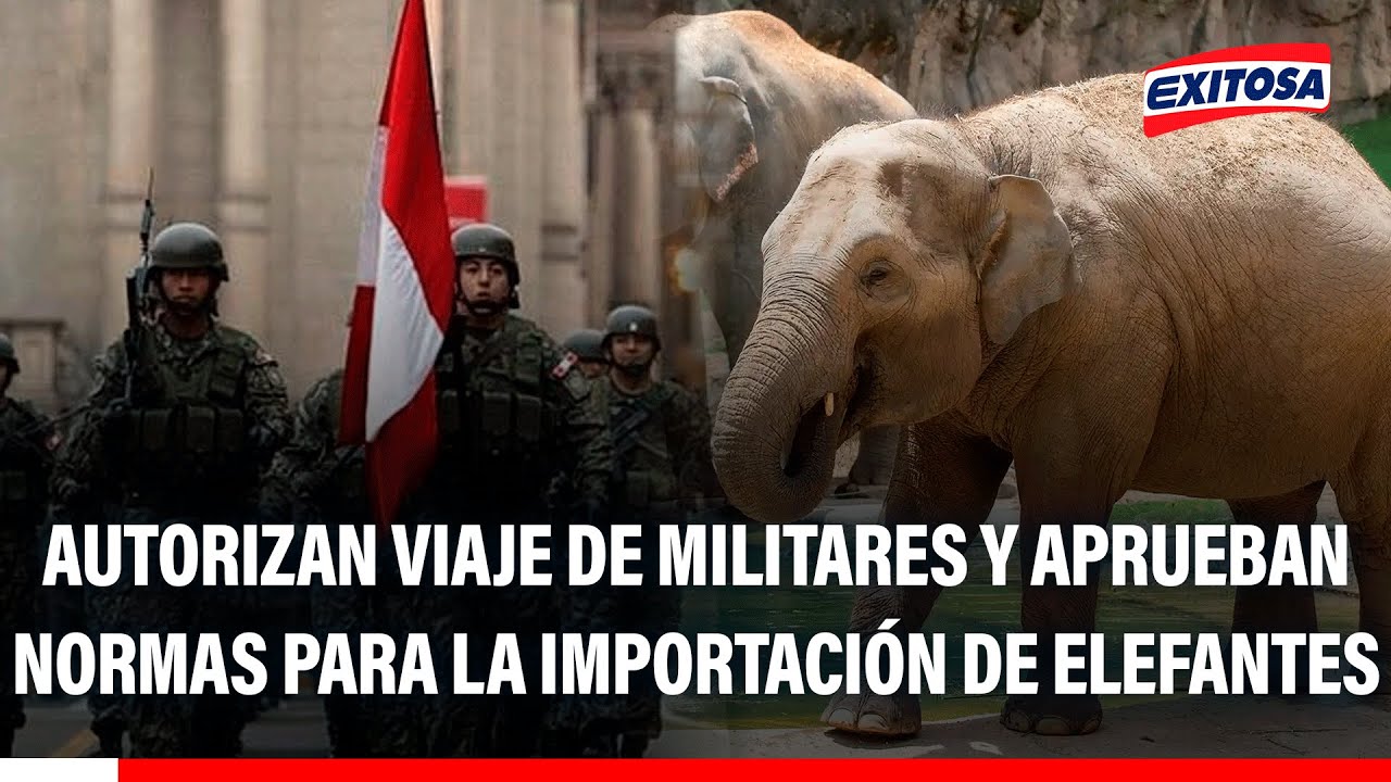 🔴🔵 Normas legales: Autorizan viaje de militares y aprueban normas para la importación de elefantes