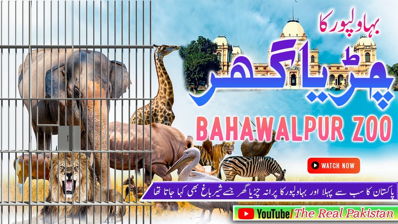 Bahawalpur Zoo | Visit With Friends Bahawalpur Zoo | Chidiya Ghar ki Sair