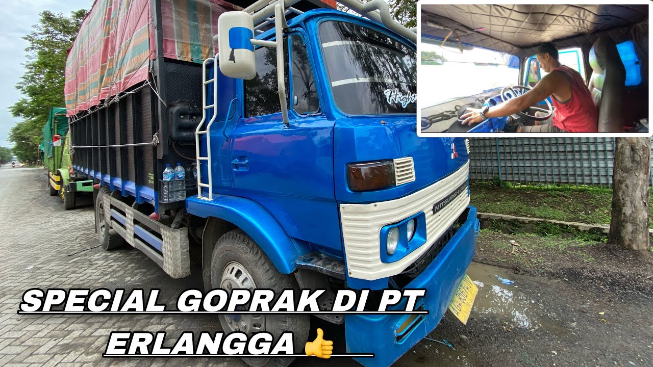RIVIEW TRUCK GOPRAK BOS ANGGA PT ERLANGGA !!!